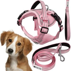 PuppyJoy Sada postroje a vodítka pro psy YIKS vel. M růžová obraz