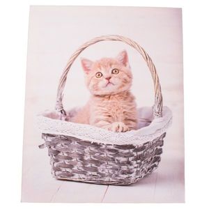 Obraz na plátně Kittie in basket, 30 x 40 cm obraz