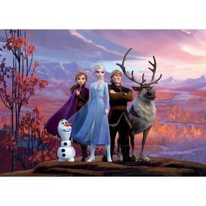 Dětská fototapeta Frozen 2, 156 x 112 cm obraz