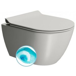 GSI PURA závěsná WC mísa, Swirlflush, 36x50cm, cenere dual-mat 881617 obraz