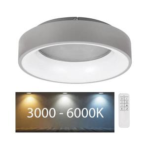 Rabalux Rabalux - LED Stmívatelné stropní svítidlo LED/24W/230V kulatý 3000-6000K + DO obraz