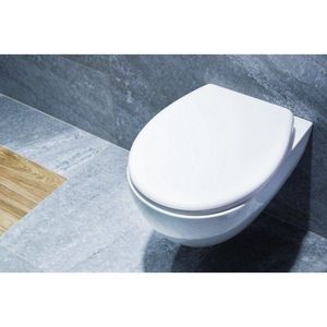 HOPA WC sedátko CALYPSO KD02181061 obraz