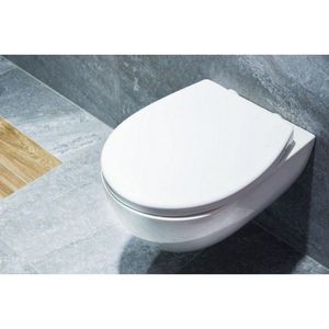 HOPA WC sedátko SWING KD02181218 obraz