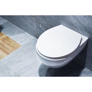 HOPA WC SLIM sedátko SALSA KD02181442 obraz