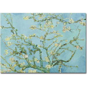 Nástěnná reprodukce na plátně Vincent Van Gogh Almond Blossom, 100 x 70 cm obraz