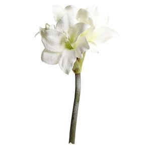 Krémová třpytivá zasněžená umělá květina Amaryllis - 64 cm 39095219 obraz