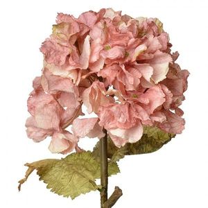 Růžová dekorační květina hortenzie Hydrangea - 10*10*55 cm 6PL0333P obraz