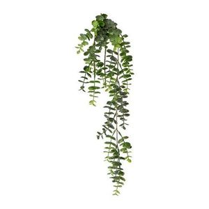 Umělá rostlina Eucalyptus závěsná, 63 cm , zelená obraz