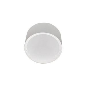 LED Koupelnové stropní svítidlo OSRAM PERCI LED/20W/230V IP40 2700K bílá obraz