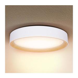 Brilagi Brilagi -LED Stmívatelné svítidlo LARIOS LED/48W/230V 3000-6500K ø 39 cm bílá+DO obraz