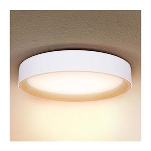 Brilagi Brilagi -LED Stmívatelné svítidlo LARIOS LED/60W/230V 3000-6500K ø 49 cm bílá+DO obraz