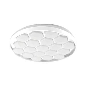 LED Stmívatelné stropní svítidlo LED/60W/230V 3000/4000/6500K + DO obraz