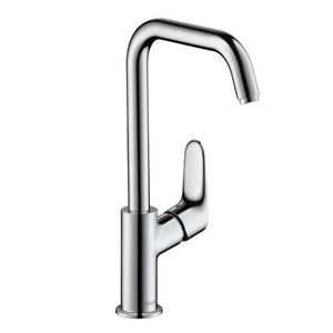 HANSGROHE Focus E2 Umyvadlová baterie s otočným výtokem, chrom 31519000 obraz