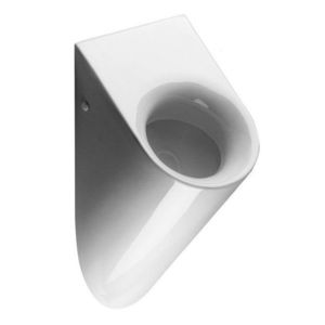 GSI COUNITY urinál se zakrytým přívodem vody, 31x61cm, bílá ExtraGlaze 769711 obraz