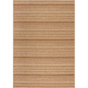 Vnitřní a venkovní koberec v přírodní barvě 200x290 cm Farah Stripe – Flair Rugs obraz