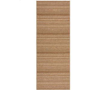 Venkovní běhoun v přírodní barvě 80x230 cm Farah Stripe – Flair Rugs obraz