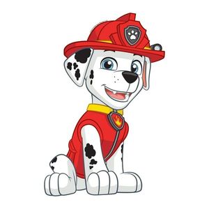 3D Samolepka Paw Patrol Marshall, 14 x 20 cm obraz