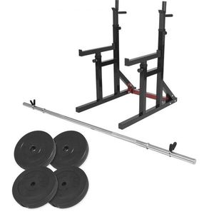 Gorilla Sports Zátěžový kotouč, chromovaný, 1, 25 kg obraz