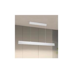 Brilagi Brilagi - LED Stmív. lustr na lanku SLIMLINE LED/40W/230V 3000-6000K bílá + DO obraz