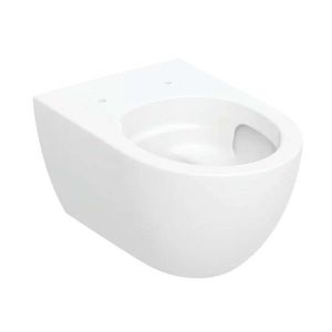 GEBERIT Acanto Závěsné WC, Rimfree, TurboFlush, s KeraTect, bílá 502.717.00.8 obraz