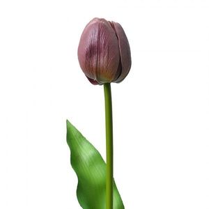 Umělá květina fialový tulipán Tulip Purple - 4*4*32 cm 6PL0312 obraz