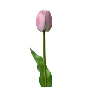 Umělá květina světle růžový tulipán Tulip Pink - 4*4*32 cm 6PL0311 obraz