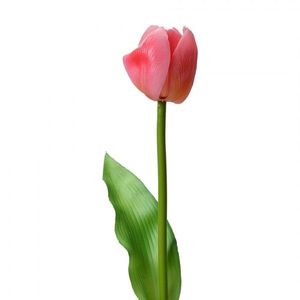 Umělá květina růžový tulipán Tulip Pink - 4*4*32 cm 6PL0313 obraz