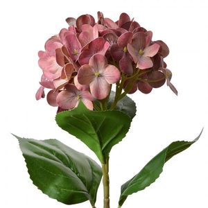 Tmavě růžová umělá květina hortenzie Hydrangea - 16*15*68 cm 5PL0137DP obraz