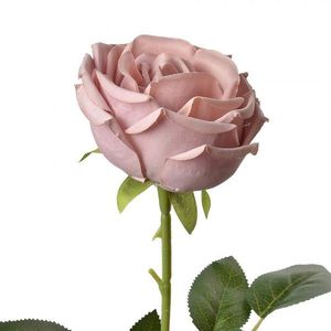 Dekorace umělá květina fialková růže Rose Purple - 9*9*61 cm 6PL0369A obraz