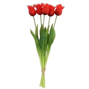 Kytice 5ks červených realistických tulipánů Tulips Papagayo - 46 cm 613639 obraz