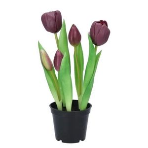 5ks fialový realistický tulipán Tulips v květináčku - Ø 8*7/ 26 cm 613654 obraz