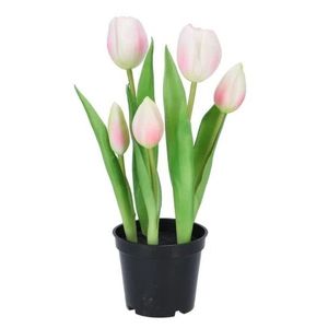 5ks růžový realistický tulipán Tulips v květináčku - Ø 8*7/ 26 cm 613656 obraz