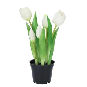 5ks bílý realistický tulipán Tulips v květináčku - Ø 8*7/ 26 cm 613652 obraz