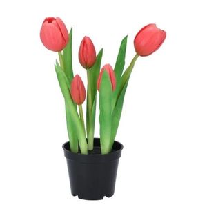 5ks tmavě růžový realistický tulipán Tulips v květináčku - Ø 8*7/ 26 cm 613651 obraz