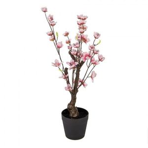 Dekorace umělý stromek třešeň s růžovými květy Cherry Blossom - 10*10*48 cm 6PL0373 obraz