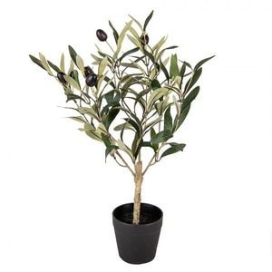 Dekorace umělý olivovník s olivami Olea Tree - 15*15*50 cm 6PL0370 obraz