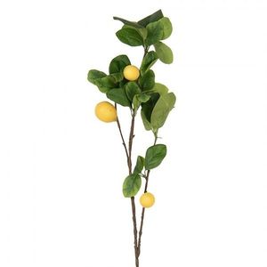 Dekorace umělá větvička citrónovník Lemon Tree - 10*7*73 cm 5PL0141 obraz