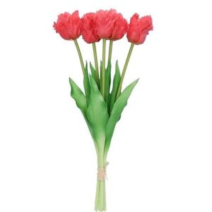 Kytice 5ks tmavě růžových realistických tulipánů Tulips Papagayo - 39 cm 613630 obraz