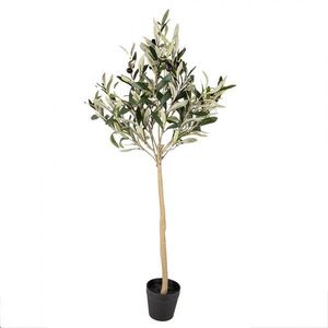 Dekorace umělý stromek olivovník s olivami Olea Tree - 20*20*90 cm 5PL0149 obraz