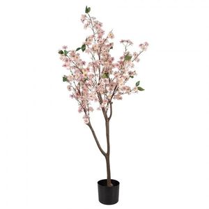 Dekorace umělý stromek třešeň s růžovými květy Cherry Blossom - 35*35*120 cm 5PL0147 obraz