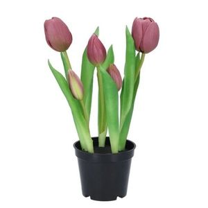 5ks světle fialový realistický tulipán Tulips v květináčku - Ø 8*7/ 26 cm 613653 obraz