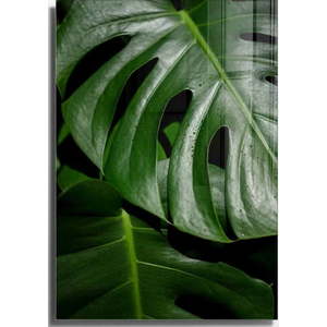 Skleněný obraz 50x70 cm Monstera – Wallity obraz