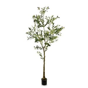 Mondex Since 1986R Umělý strom OLIVES 180 cm zelený obraz