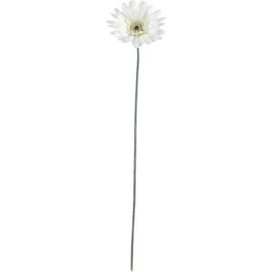 XXXL UMĚLÁ KVĚTINA gerbera 56 cm obraz