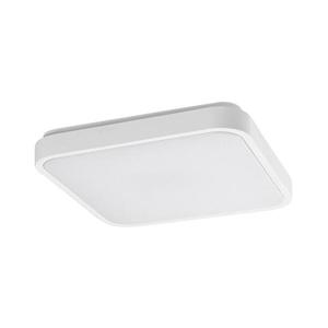 Rabalux Rabalux 77138 - LED Koup. strop. svítidlo se senzorem LOWAR 18W/230V 4000K IP44 obraz