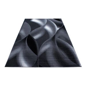 Novel BĚHOUN, 80/300 cm, černá obraz