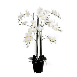 XXXL ORCHIDEJ obraz