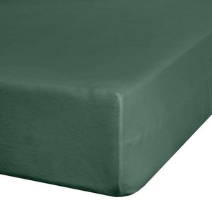 ArtFir PLACHTA JERSEY3 140x200 cm, VÝŠKA 30 cm TMAVOZELENÁ obraz