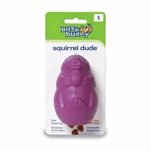 Squirrel Dude™ S obraz