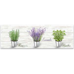 Obraz Styler Canvas Shabby Herbs, 27 x 75 cm obraz
